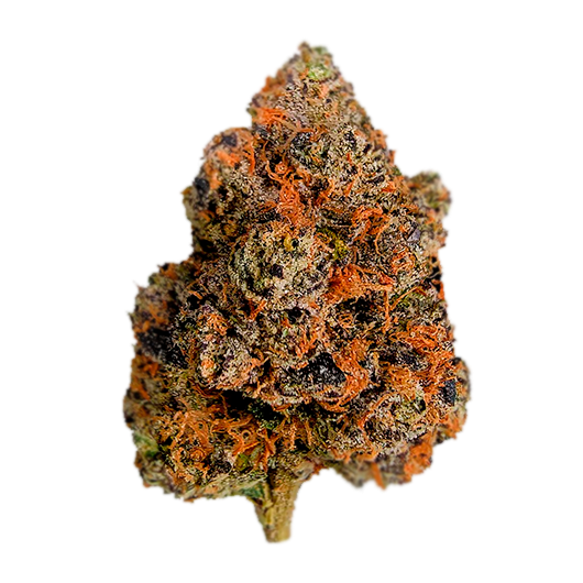 Lemon Cherry Gelato